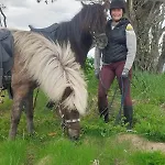 בית נופש Gard